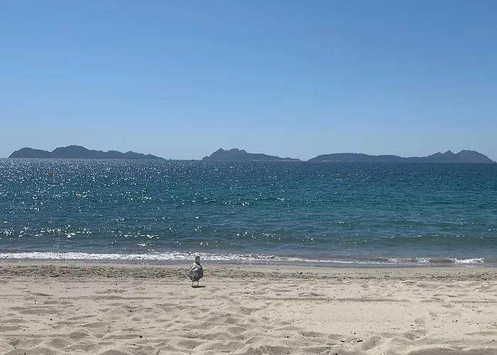 Urban Vigo